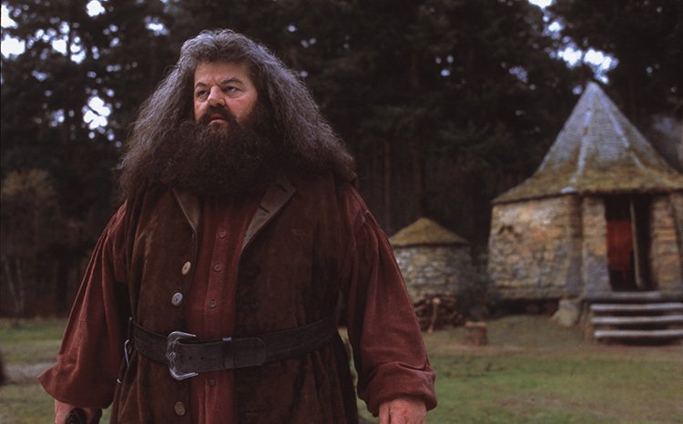 Rubeus Hagrid in Harry Potter
