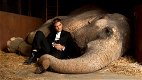 Come l'acqua per gli elefanti, trama e significato del titolo e di libro e film con Robert Pattinson