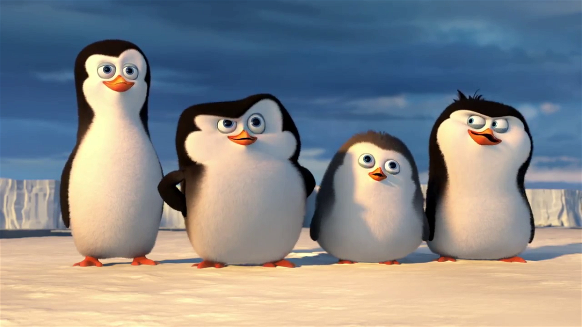 I pinguini di Madagascar: Skipper, Kowalski, Soldato e Rico