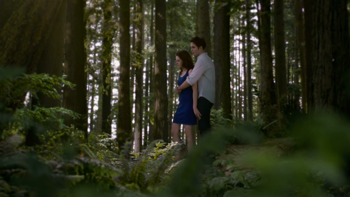 Foresta Twilight in una scena con Bella ed Edward