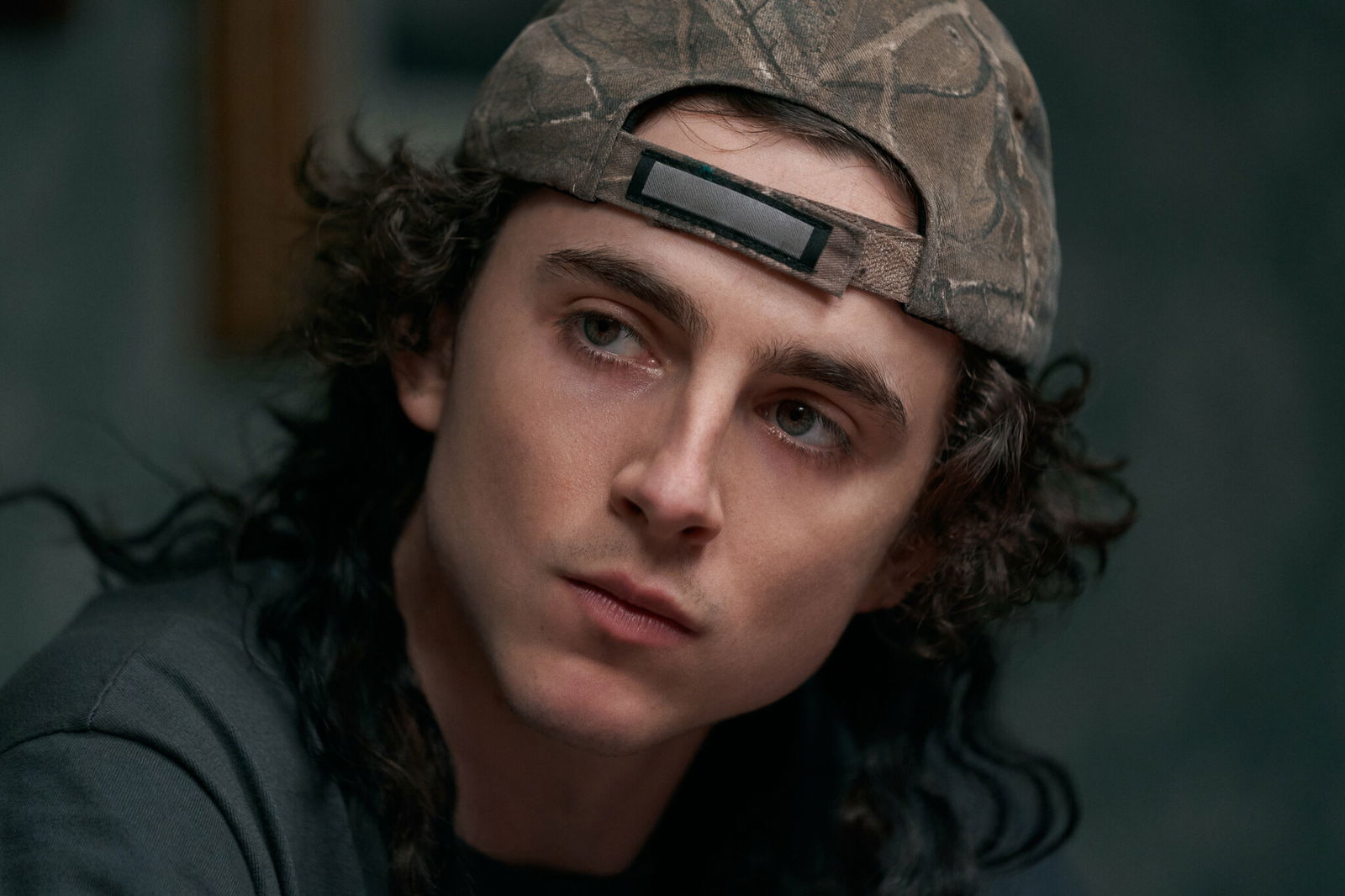 Click para ver la imagen original Timothée Chalamet