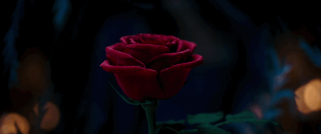 Clicca per vedere l'immagine originale Emma Watson e la Rosa Incantata