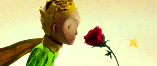 Il piccolo principe e la rosa