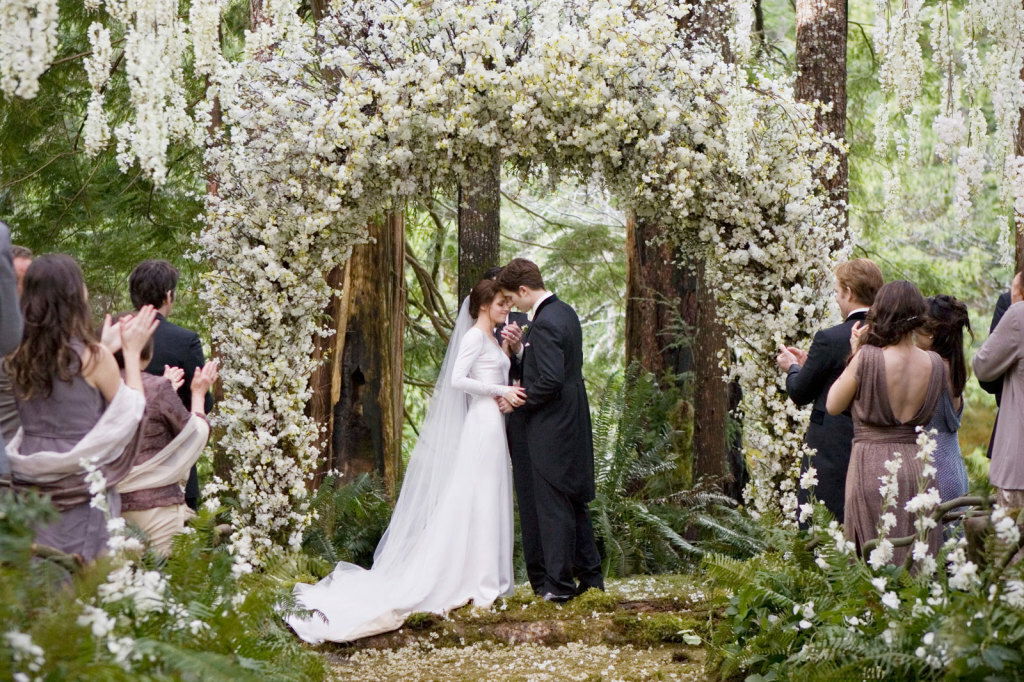 Clicca per vedere l'immagine originale Una scena di Breaking Dawn - Parte 1