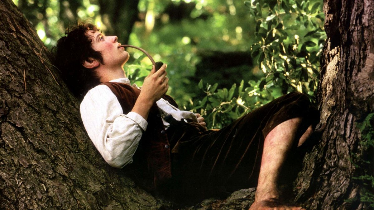 Elijah Wood nei panni di Frodo Baggins