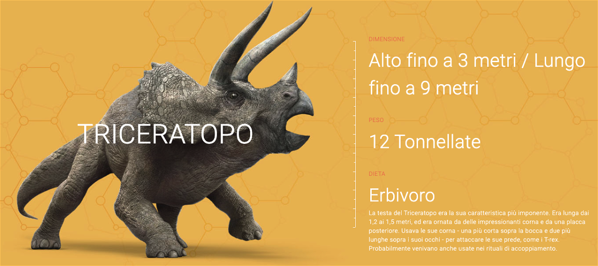 La scheda del Triceratopo