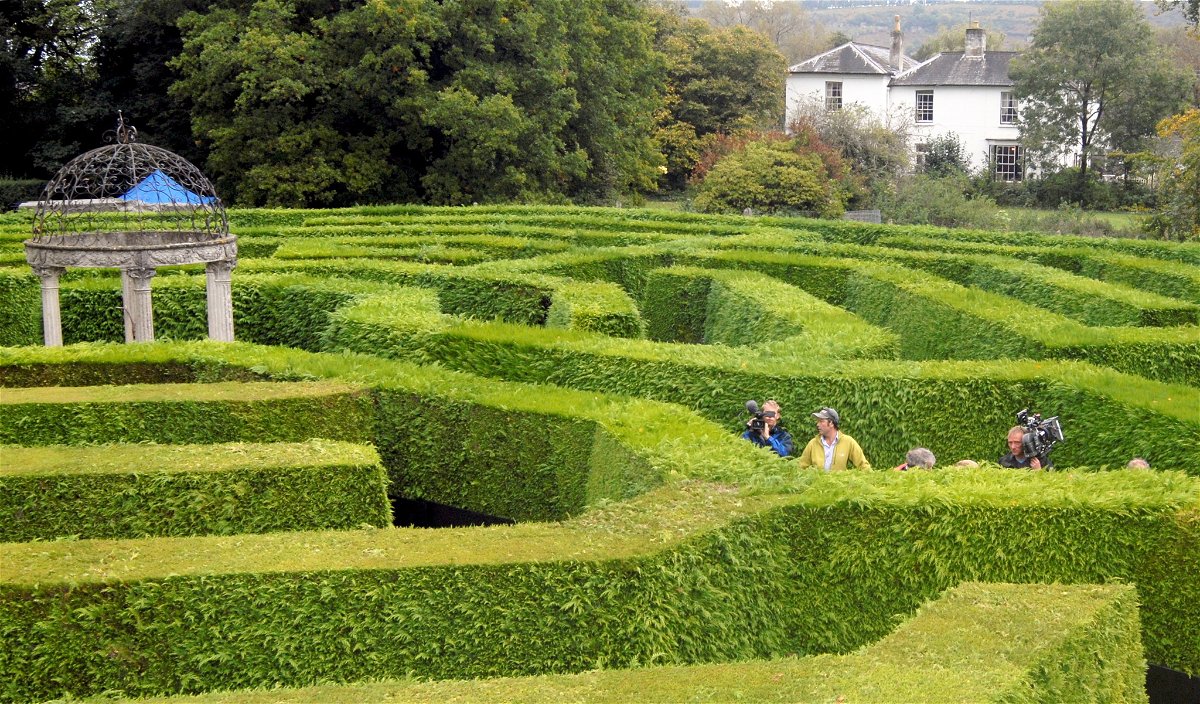 La crew di Merlin nel labirinto The Amazing Hedge Puzzle