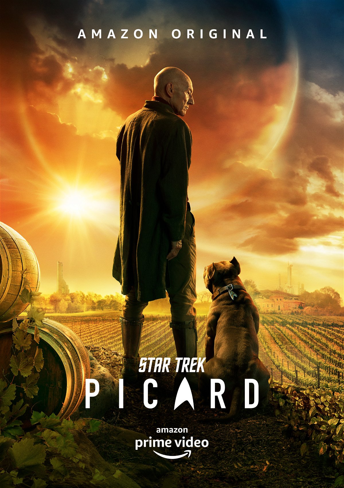 Il poster di Star Trek Picard