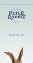 Copertina di Peter Rabbit: il primo trailer del film in tecnica mista