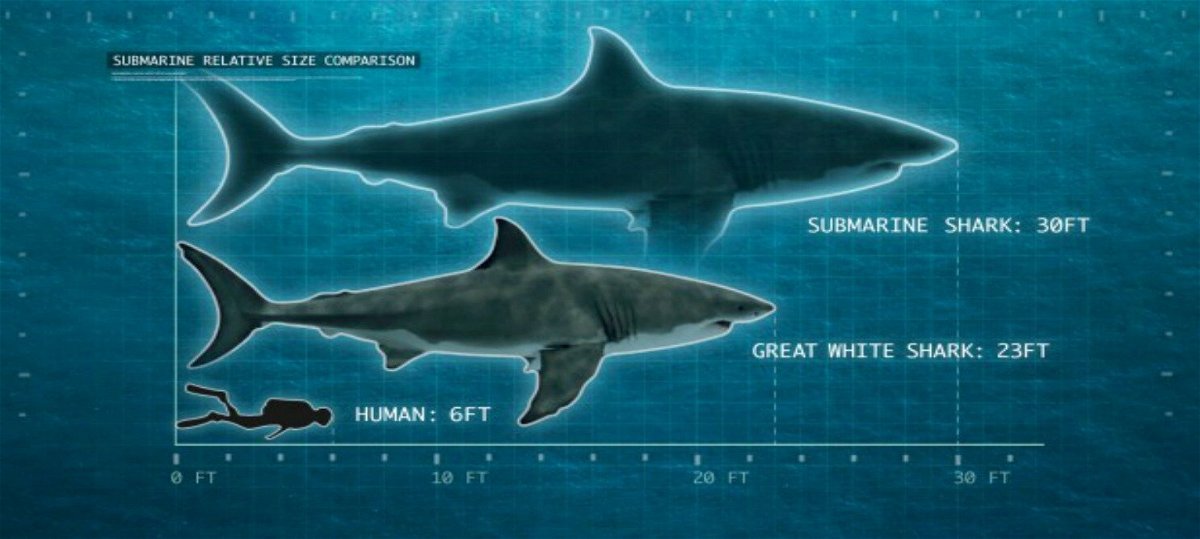 Lo squalo Sottomarino rapportato a un grande squalo bianco e a un uomo