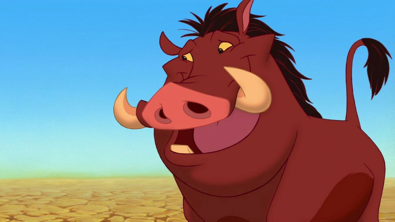 che animali sono pumba e timon