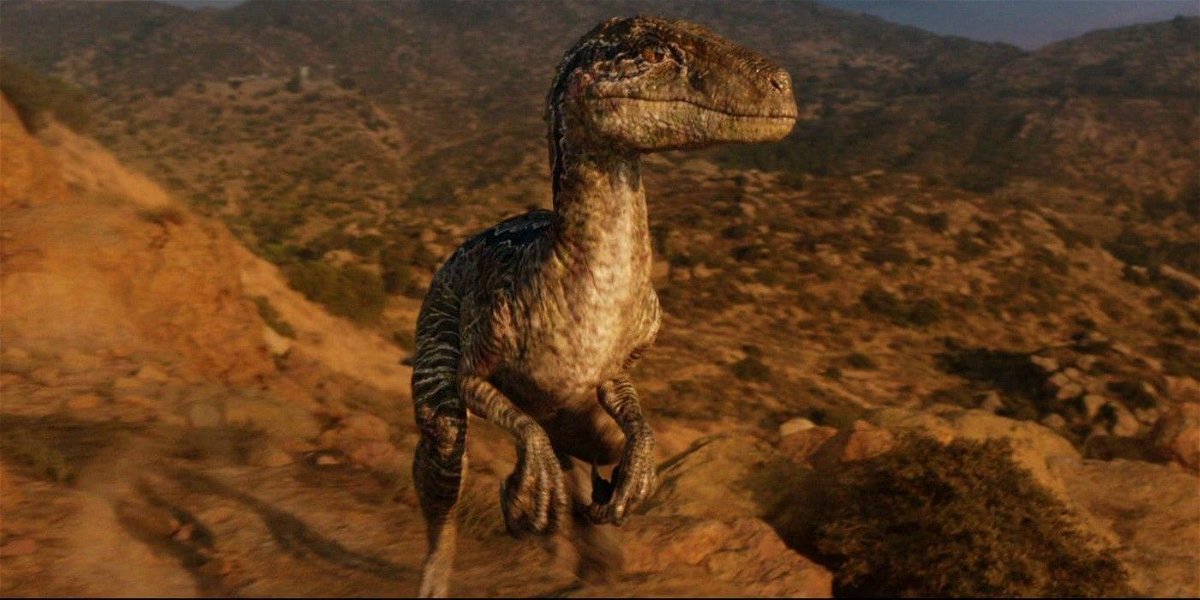 Il Velociraptor Blue nella scena finale di Jurassic World - Il regno distrutto