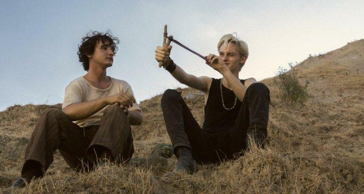 Clicca per vedere l'immagine originale Lazzaro e Tancredi con la fiodna