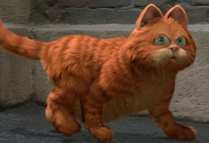 Il gatto Garfield mentre cammina