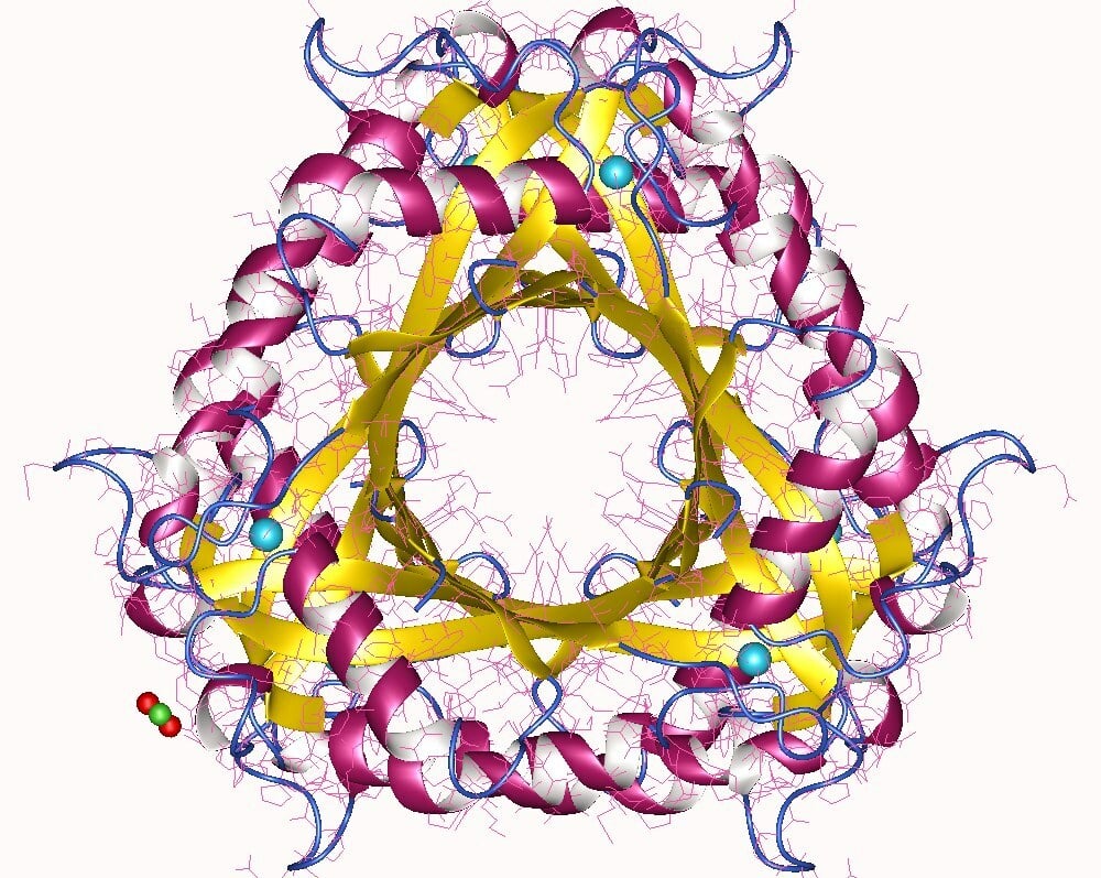 lucy-the-cph4-enzyme-and-the-myth-about-the-use-of-10-of-the-brain