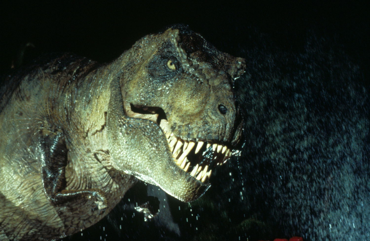Clicca per vedere l'immagine originale Un Tyrannosaurus rex visto nella saga di Jurassic Park