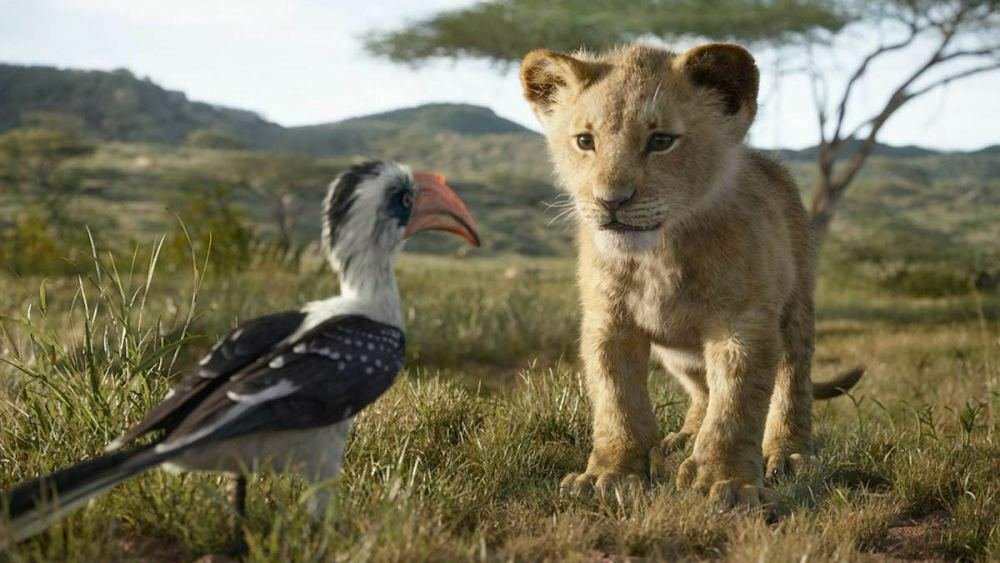 Simba e Zazu in una scena de Il Re Leone (2019)