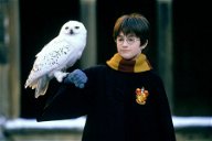 Copertina di Daniel Radcliffe compie 30 anni, i fan lo ringraziano per i meravigliosi ricordi d'infanzia