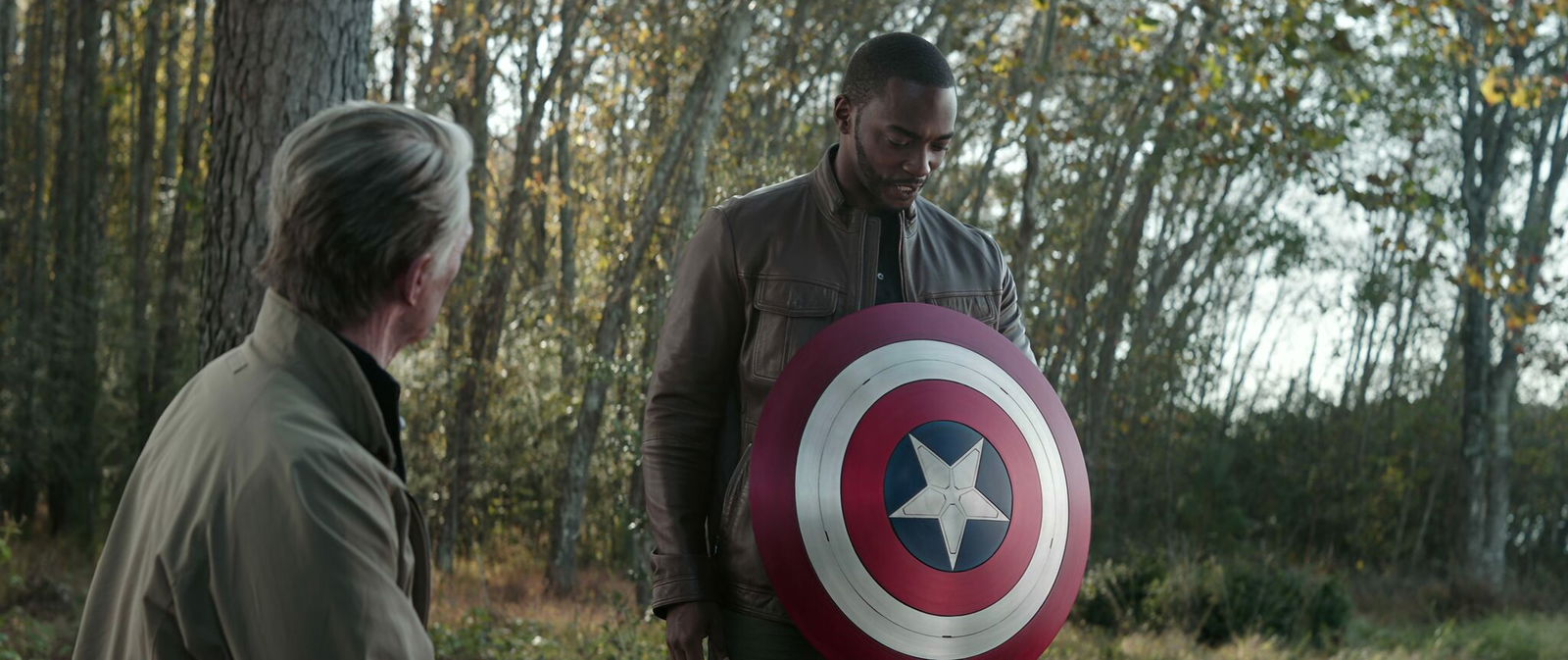 Clicca per vedere l'immagine originale Lo scudo che Steve dona a Sam in Avengers - Endgame