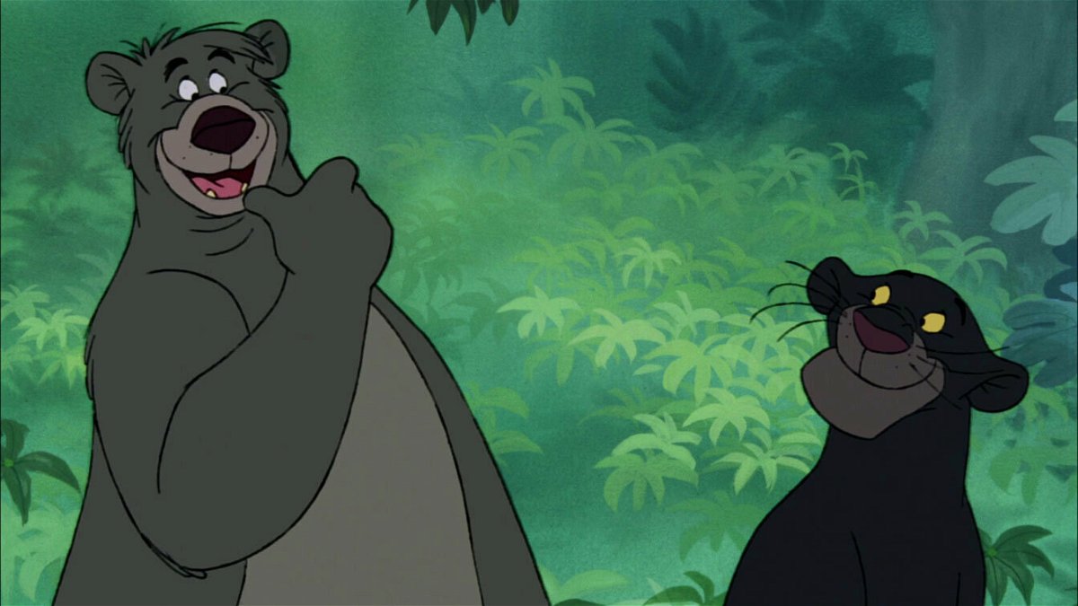 Bagheera e Baloo