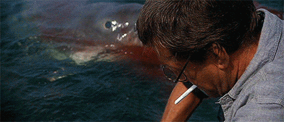 Lo squalo che ha ispirato il gioco I protagonisti del film: lo Squalo e Roy Scheider