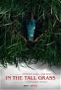 Copertina di Nell'erba alta, il trailer dell'horror ispirato al racconto di Stephen King e Joe Hill