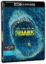 Copertina di Shark - Il primo squalo, arriva in DVD, Blu-ray e 4K Ultra HD