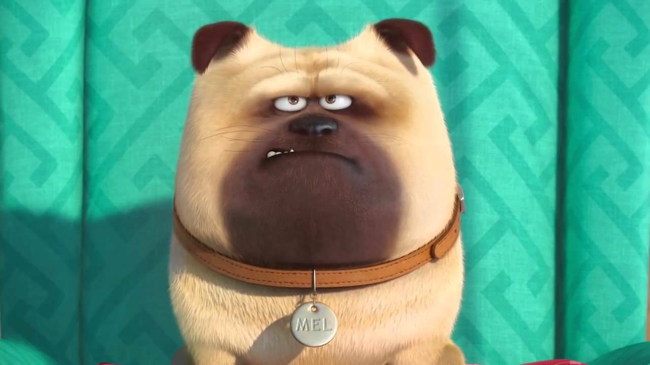 Clicca per vedere l'immagine originale Mel