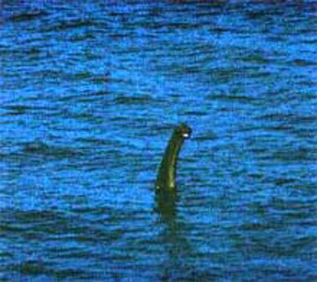 La versione del mostro di Loch Ness fotografata da Anthony Shiels