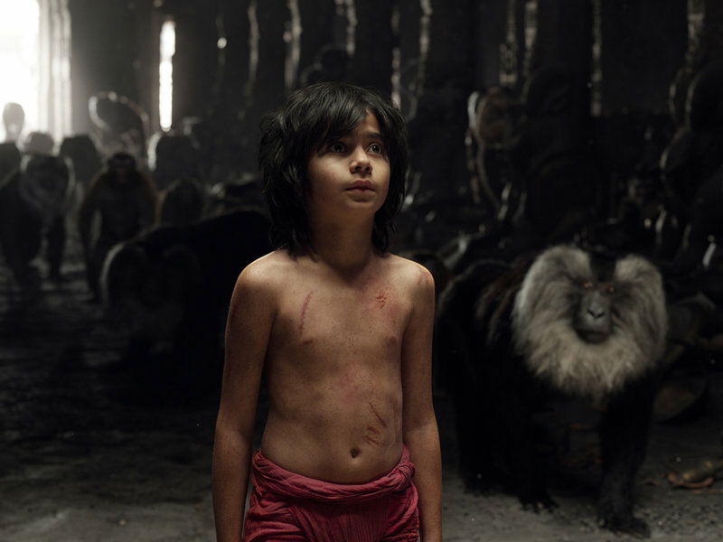 Clicca per vedere l'immagine originale Mowgli