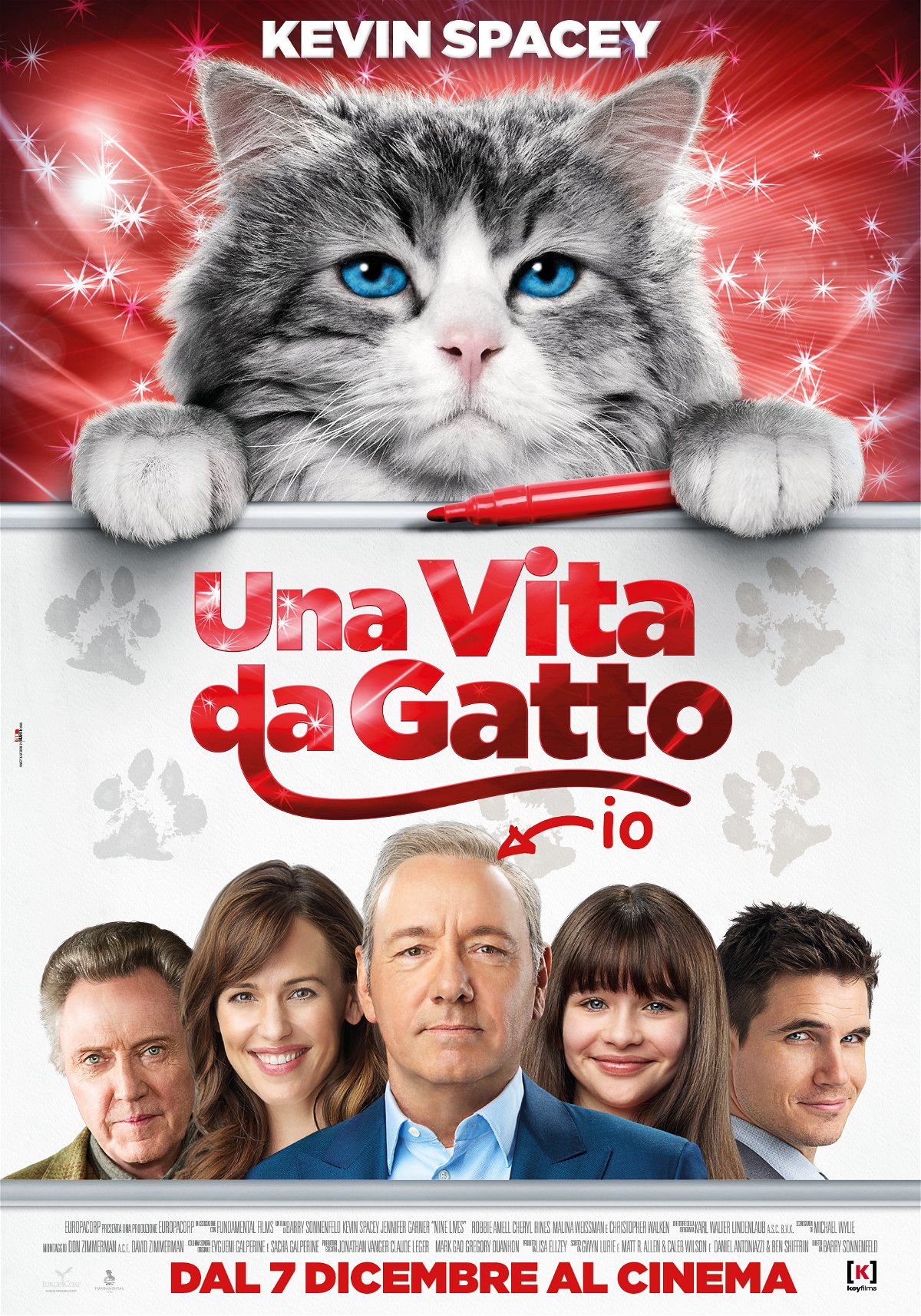 Poster del film Una vita da gatto