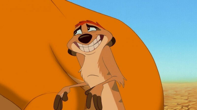 che animali sono pumba e timon