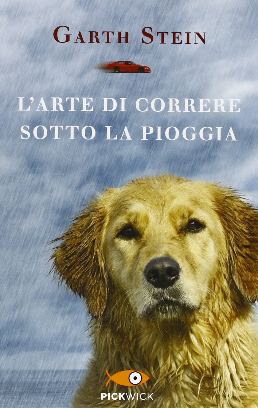 La copertina del libro L'arte di correre sotto la pioggia