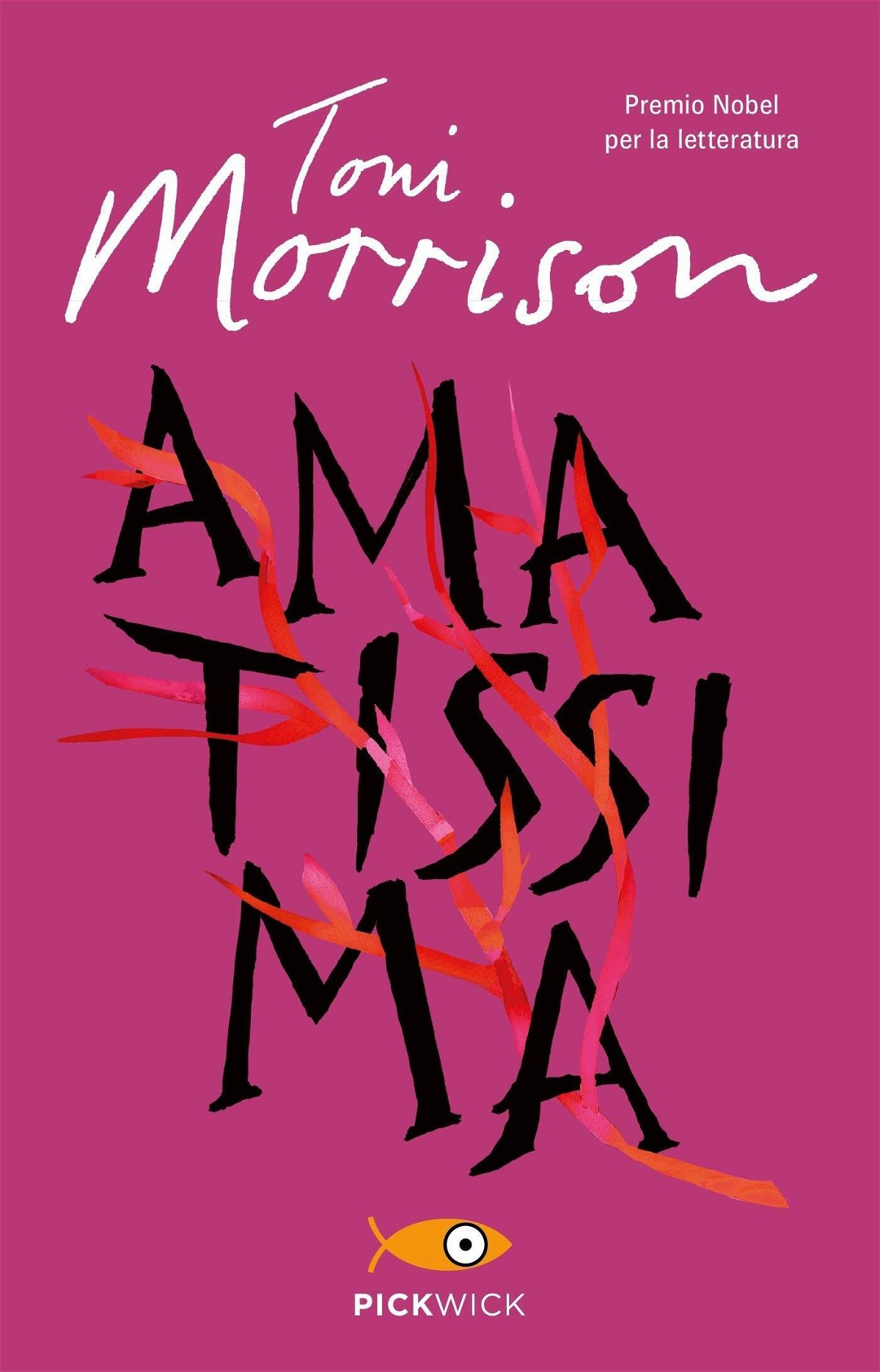 Amatissima - romanzo di Toni Morrison