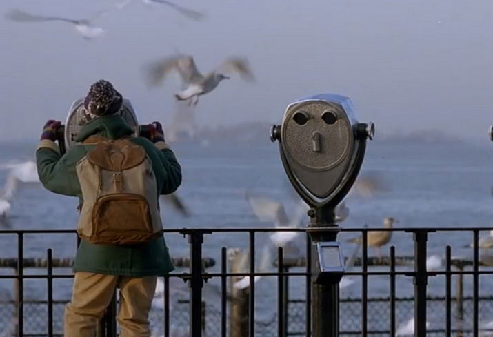 Clicca per vedere l'immagine originale Il Battery Park di New York
