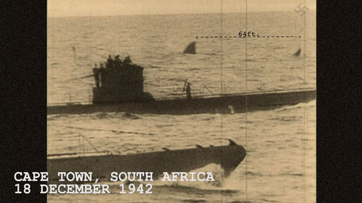 Clicca per vedere l'immagine originale Una delle finte foto mostrate nel documentario Megalodonte: la Leggenda degli Abissi