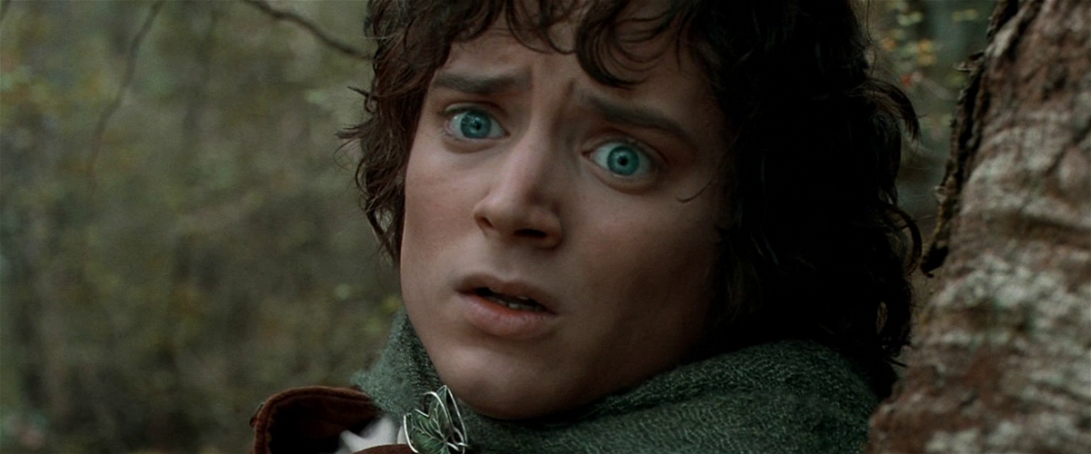 Frodo è un personaggio coraggioso e integro