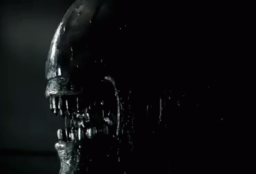Lo xenomorfo sputa insetti