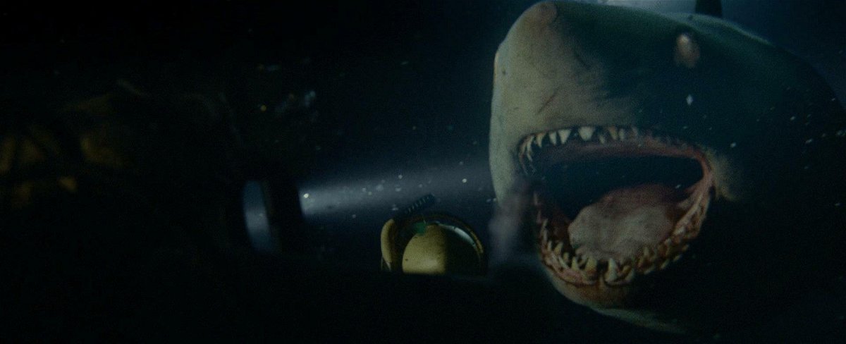 Lo squalo bianco del film 47 Metri - Uncaged
