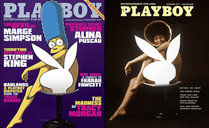 Copertina di Extreme Fandom: pazzi per i Simpson