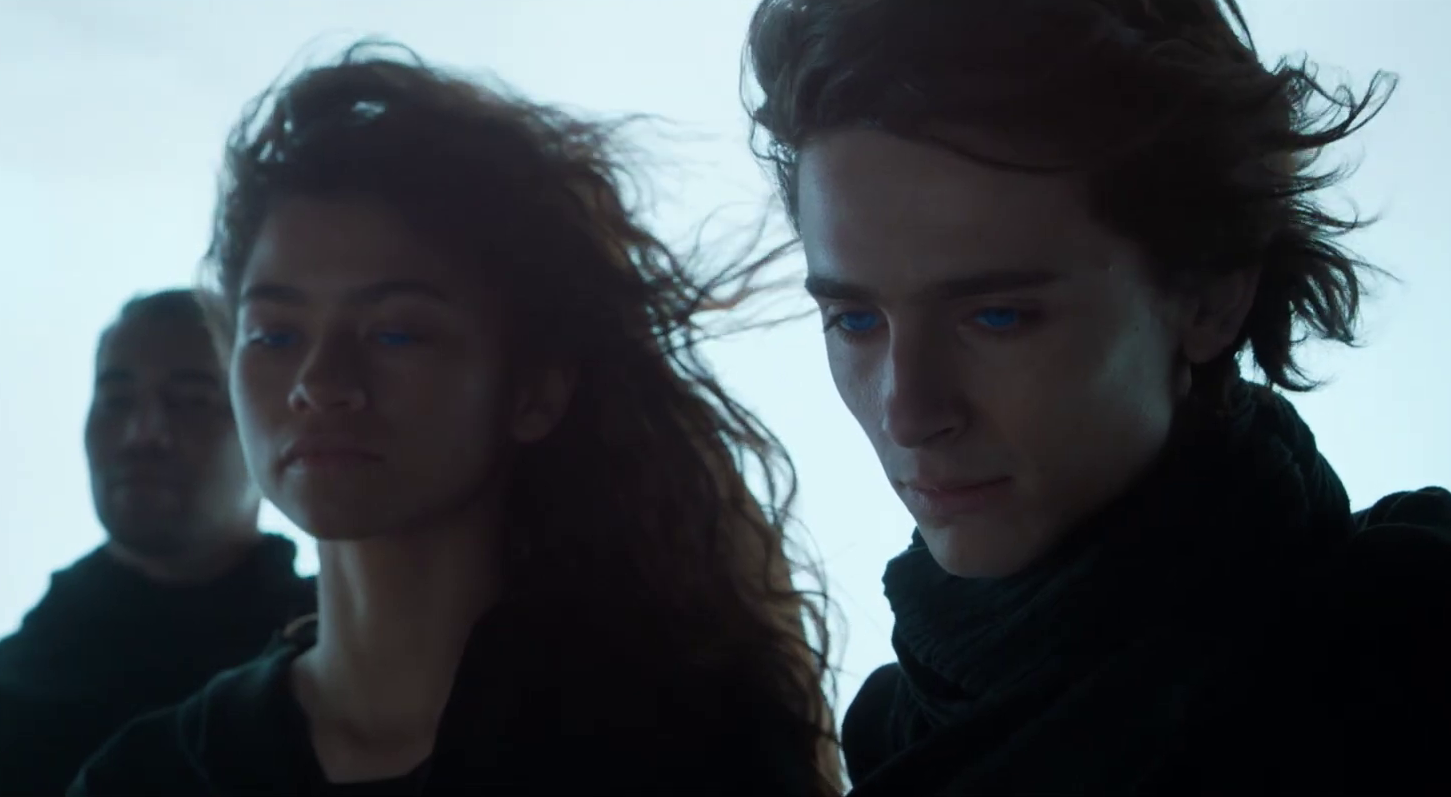Clicca per vedere l'immagine originale Dune e il nuovo film di Denis Villeneuve