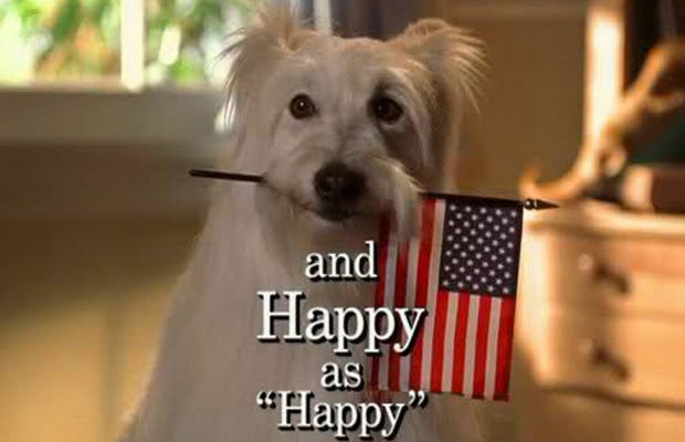Happy, il cane di Settimo Ciel