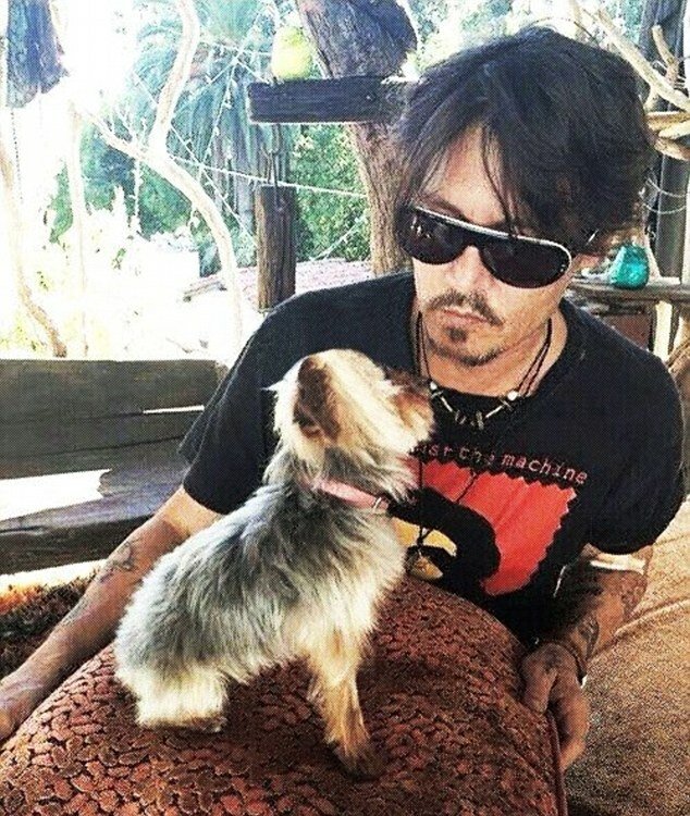 Johnny Depp con uno dei due cani ora affidati ad Amber Heard