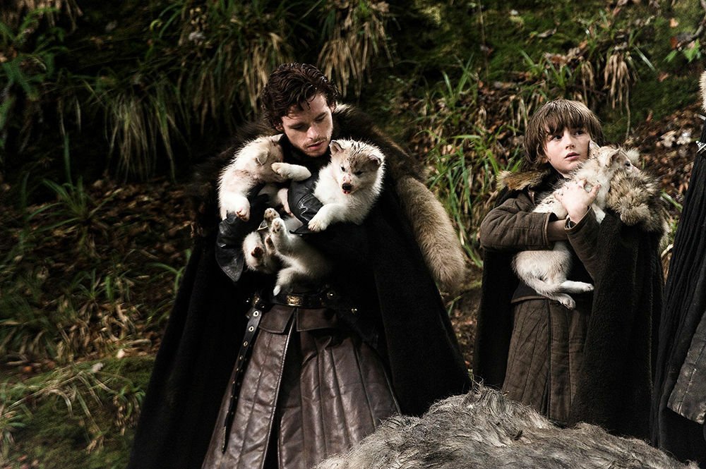 Richard Madden e Isaac Hempstead-Wright in Game of Thrones 1x01 con i cuccioli di metalupo