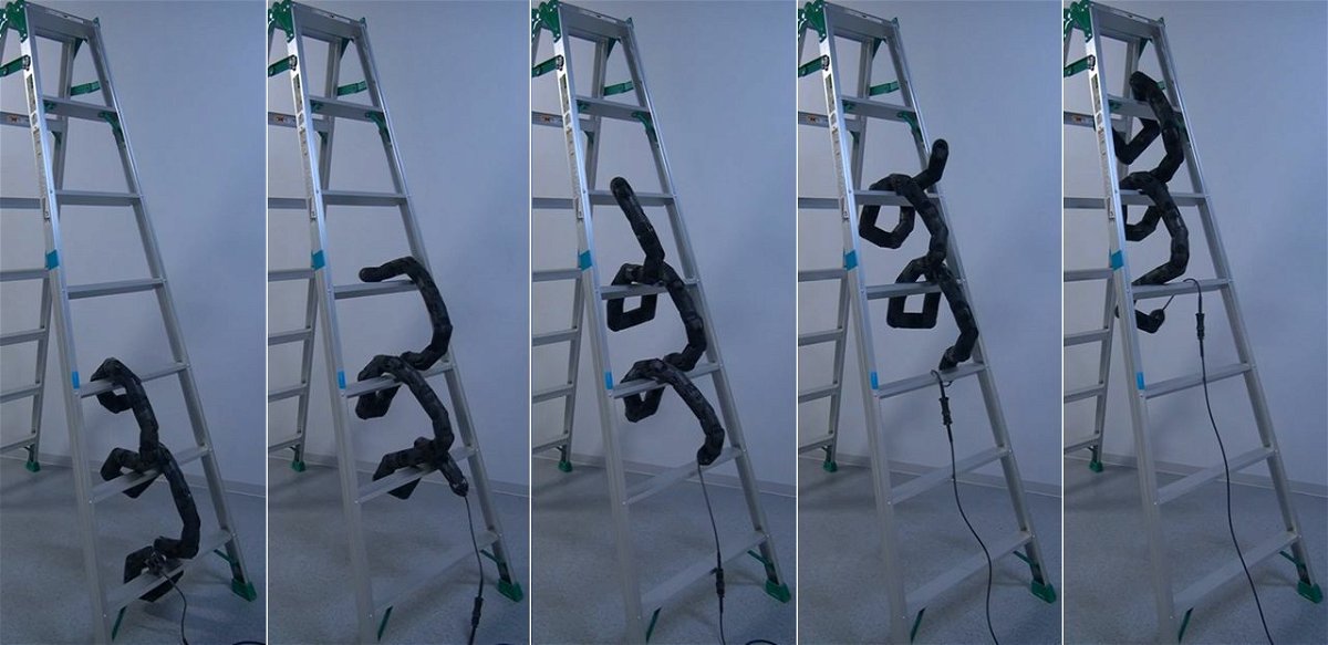 Il serpente robot capace di risalire le scale