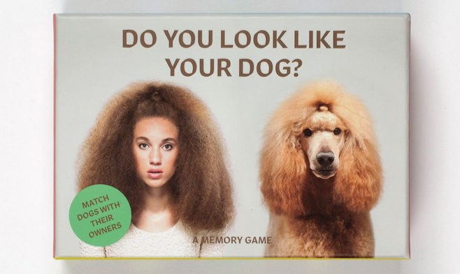 Primo piano del Il libro fotografico in formato gioco da carte Do you look like your dog: a memory game di Gerrard Gethings  
