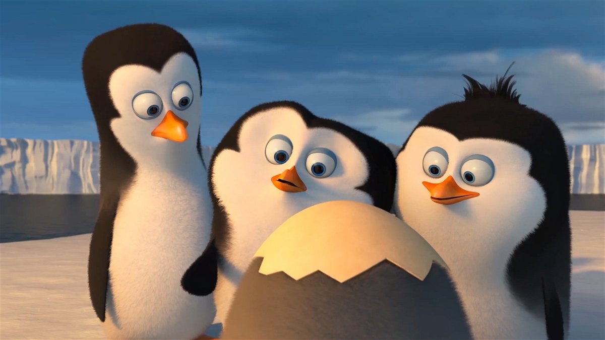 Scena de I pinguini di Madagascar