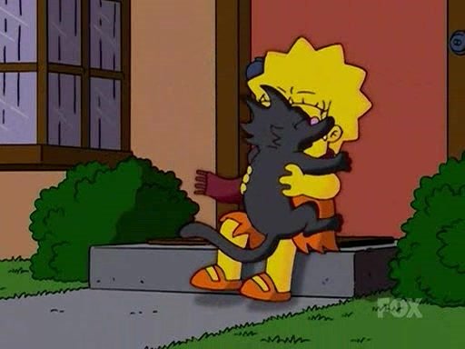 Lisa viene colpita da un gatto lanciato dalla gattara 