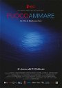 Copertina di Fuocoammare sarà il candidato italiano nella corsa agli Oscar 2017