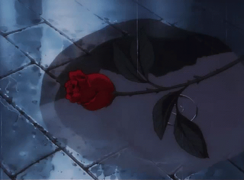 Clicca per vedere l'immagine originale Una rosa rossa a terra